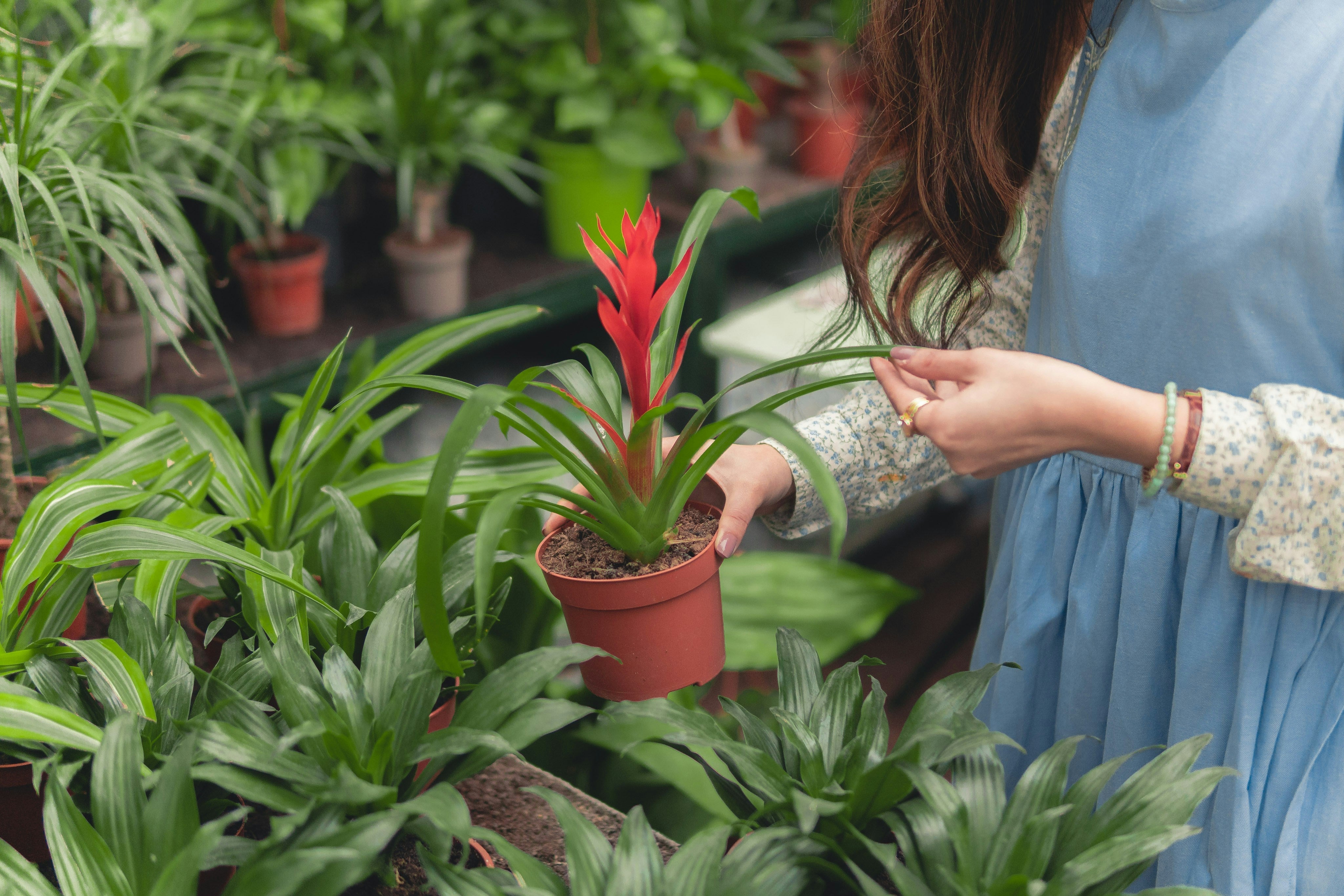 How to Choose the Best Sun Protection for Gardening